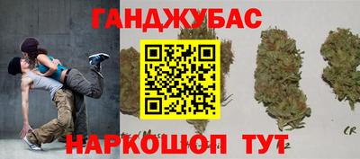 дмт Кингисепп