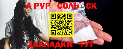 дмт Кингисепп