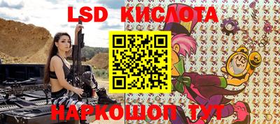 дмт Кингисепп