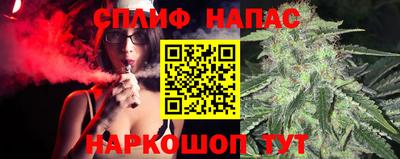 дмт Кингисепп