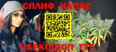 дмт Кингисепп