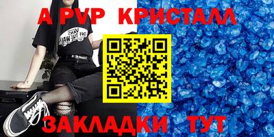 дмт Кингисепп
