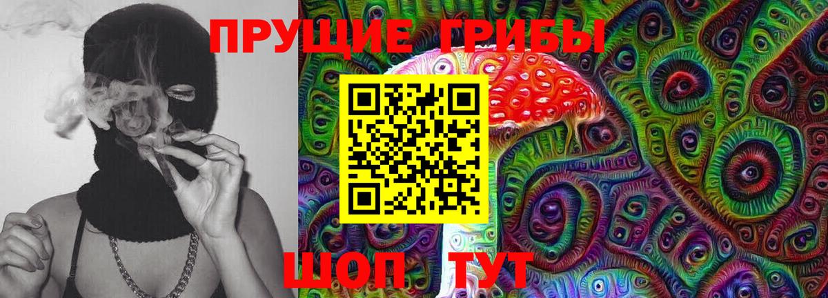 Энгельс  Галлюциногенные грибы Magic Shrooms  Вход с VPN 
